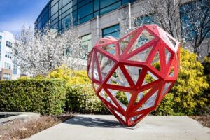 Downtown Greenville Red Heart