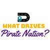 What Drives Pirate Nation