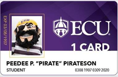 An image of an ECU 1Card for PeeDee the Pirate